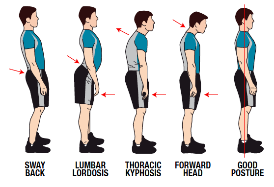 Houding en bewegingspatroon voor een sterke rug.