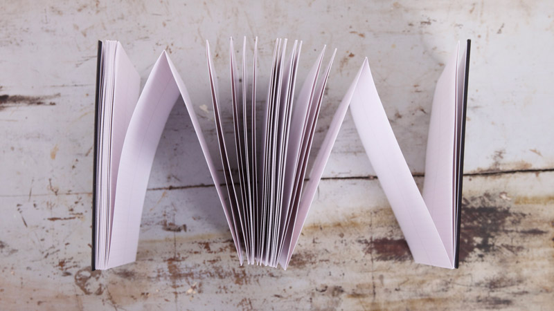 Harmonica timeline journal